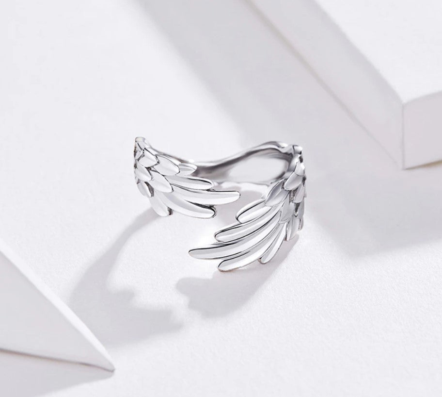 Anillos