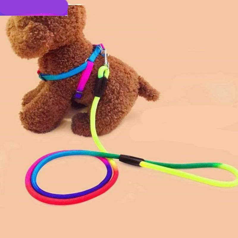 La Michy Tienda Correa Multicolor