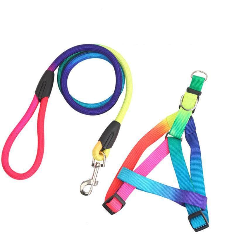 La Michy Tienda Correa Multicolor