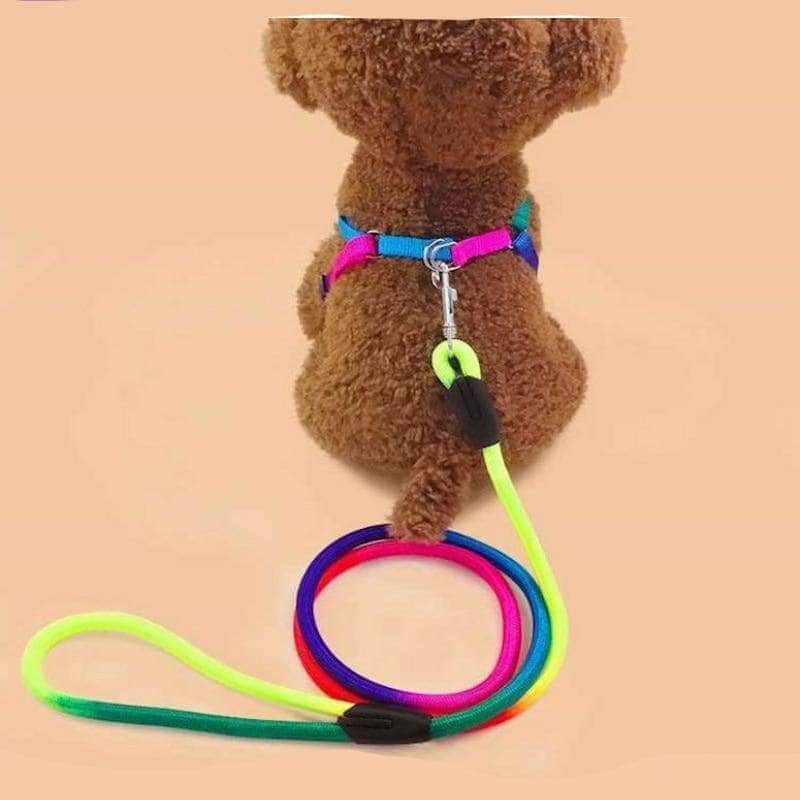 La Michy Tienda Correa Multicolor