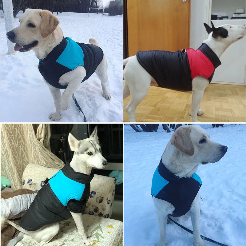 Arnes, Parkas y Chalecos
