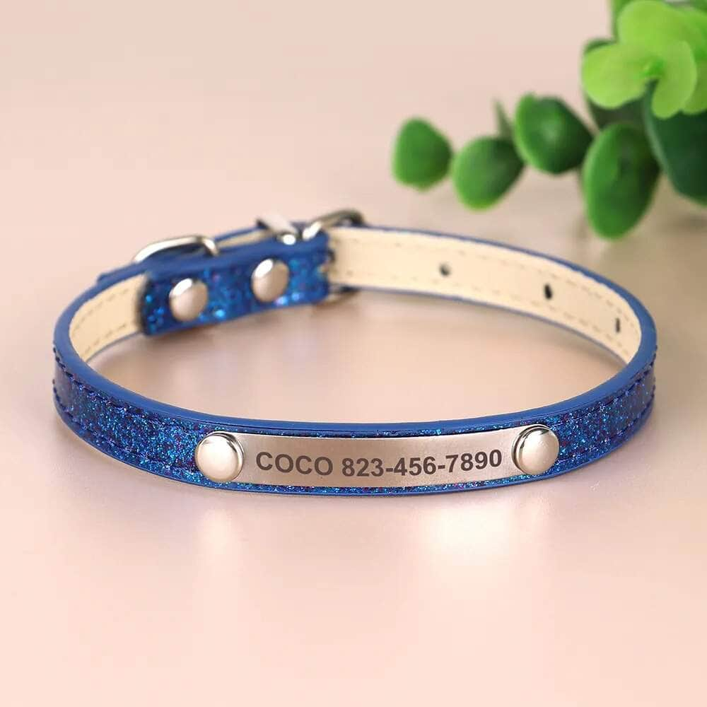 La Michy Tienda Chile Blue / XS 15-23cm Collar de Identificación Light