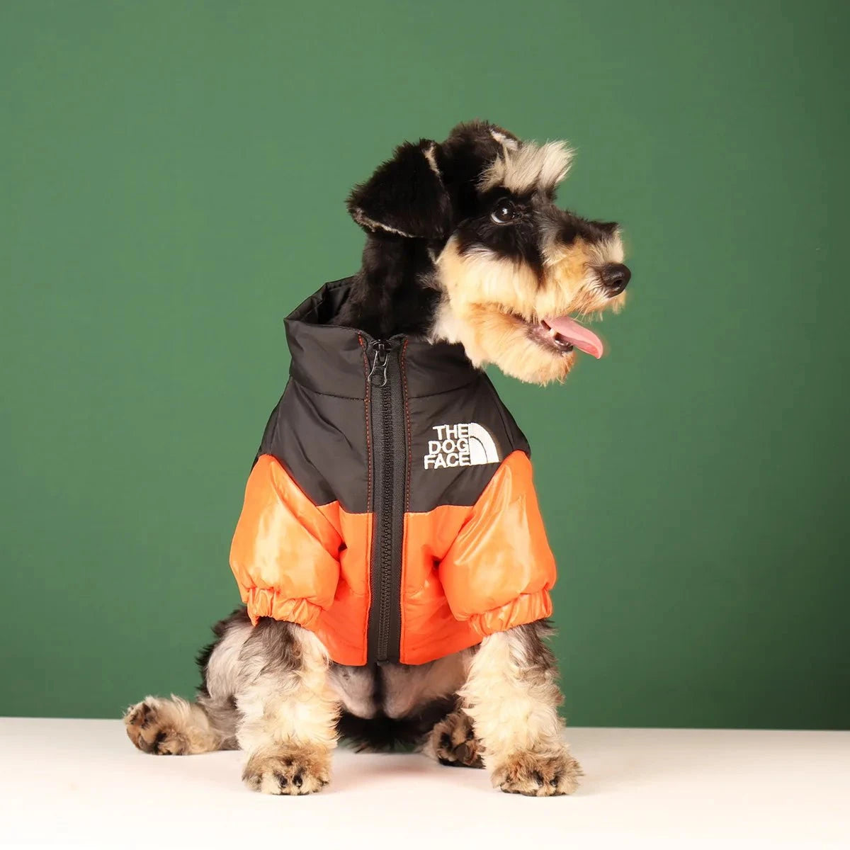 La Michy Tienda Chile Chalecos "The Dog Face "