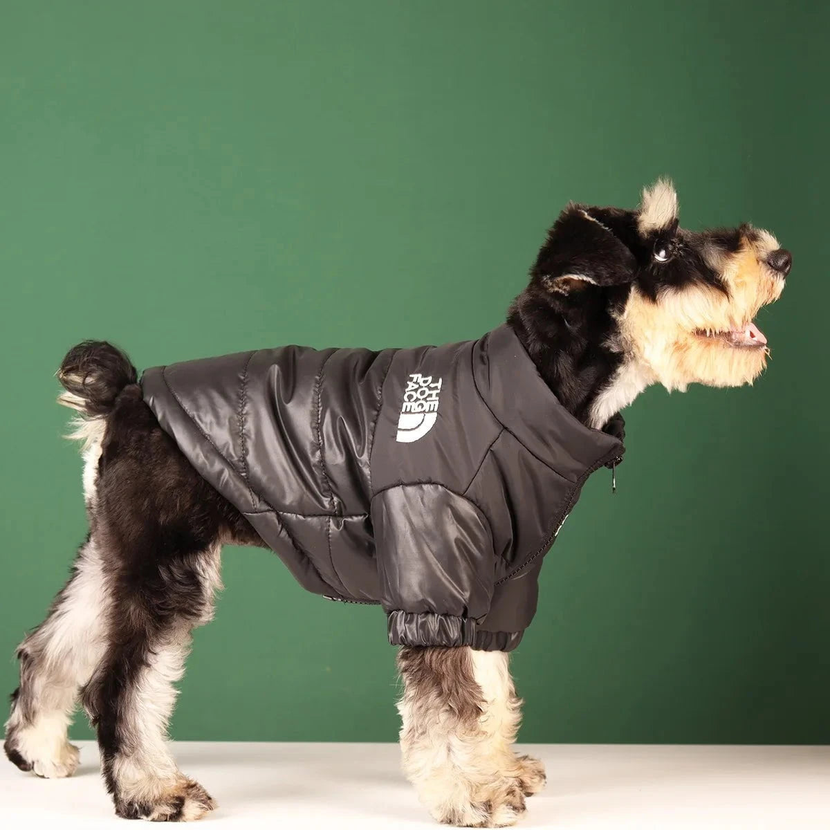 La Michy Tienda Chile Chalecos "The Dog Face "