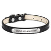 La Michy Tienda Chile Collar de Identificación Light
