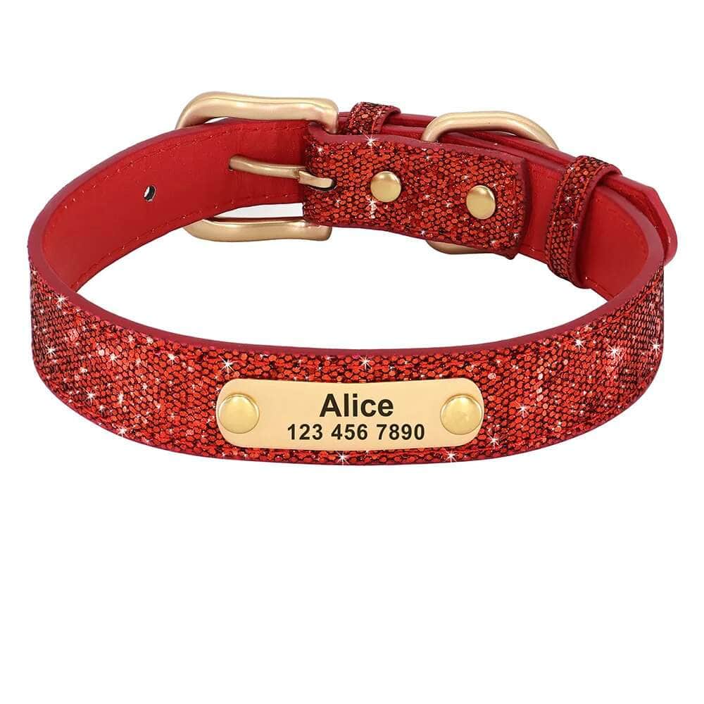 La Michy Tienda Chile Red / XS Collar Diamante con Placa Dorada