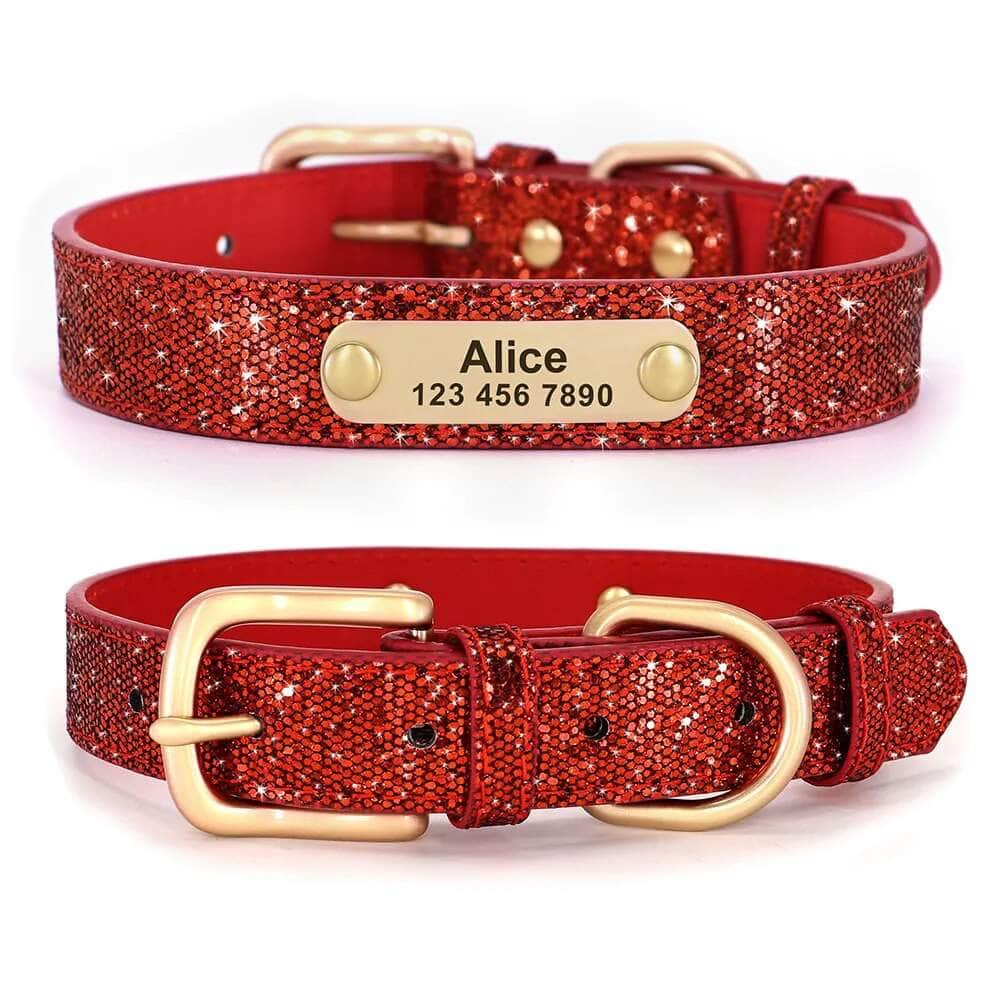 La Michy Tienda Chile Rojo con Placa / XS Collar Diamante