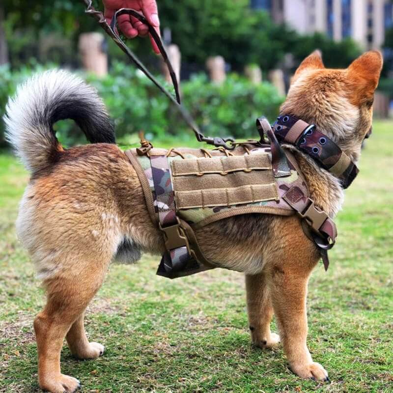 La Michy Tienda 0 Tactical Dog Harness Vest Military Service Dog Harness Leash Set Molle Pet Training Vest For Medium Large Dogs German Shepherd