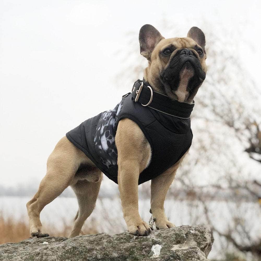 La Michy Tienda 0 Winter Warm Dog Clothes For Small Dogs Pet Clothing Puppy Outfit Windproof Dog Jacket Chihuahua French Bulldog Coat Yorkies Vest