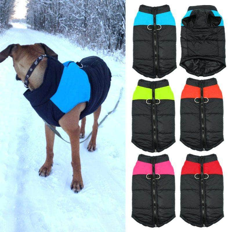 La Michy Tienda Chaleco impermeable Top Quality para Perro