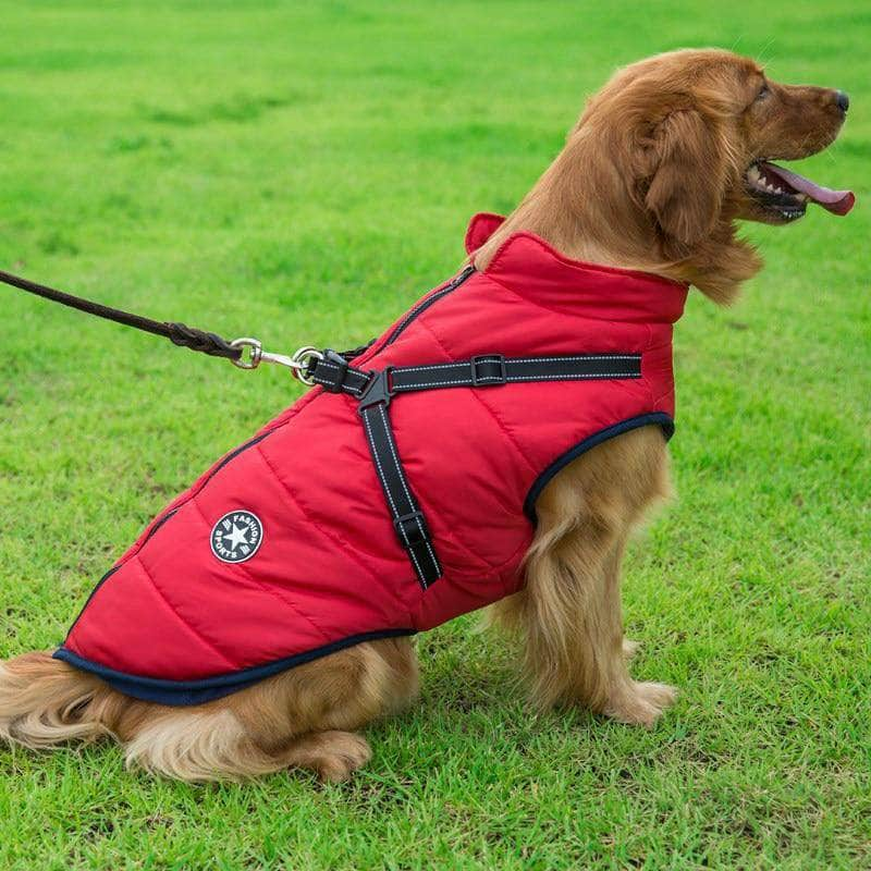 La Michy Tienda Chaleco Polar Impermeable para Perros