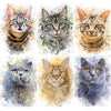 La Michy Tienda Rompecabezas 5D Gatos Eternos